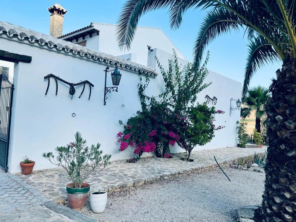 La Mirada De Ronda Hotell Eksteriør bilde