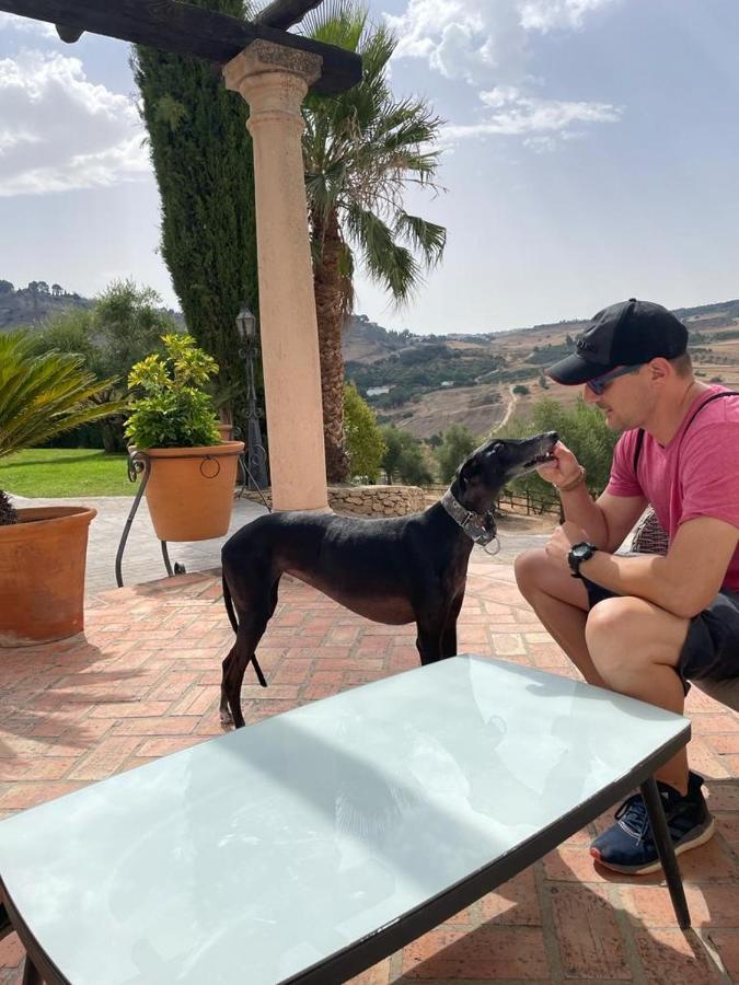 La Mirada De Ronda Hotell Eksteriør bilde